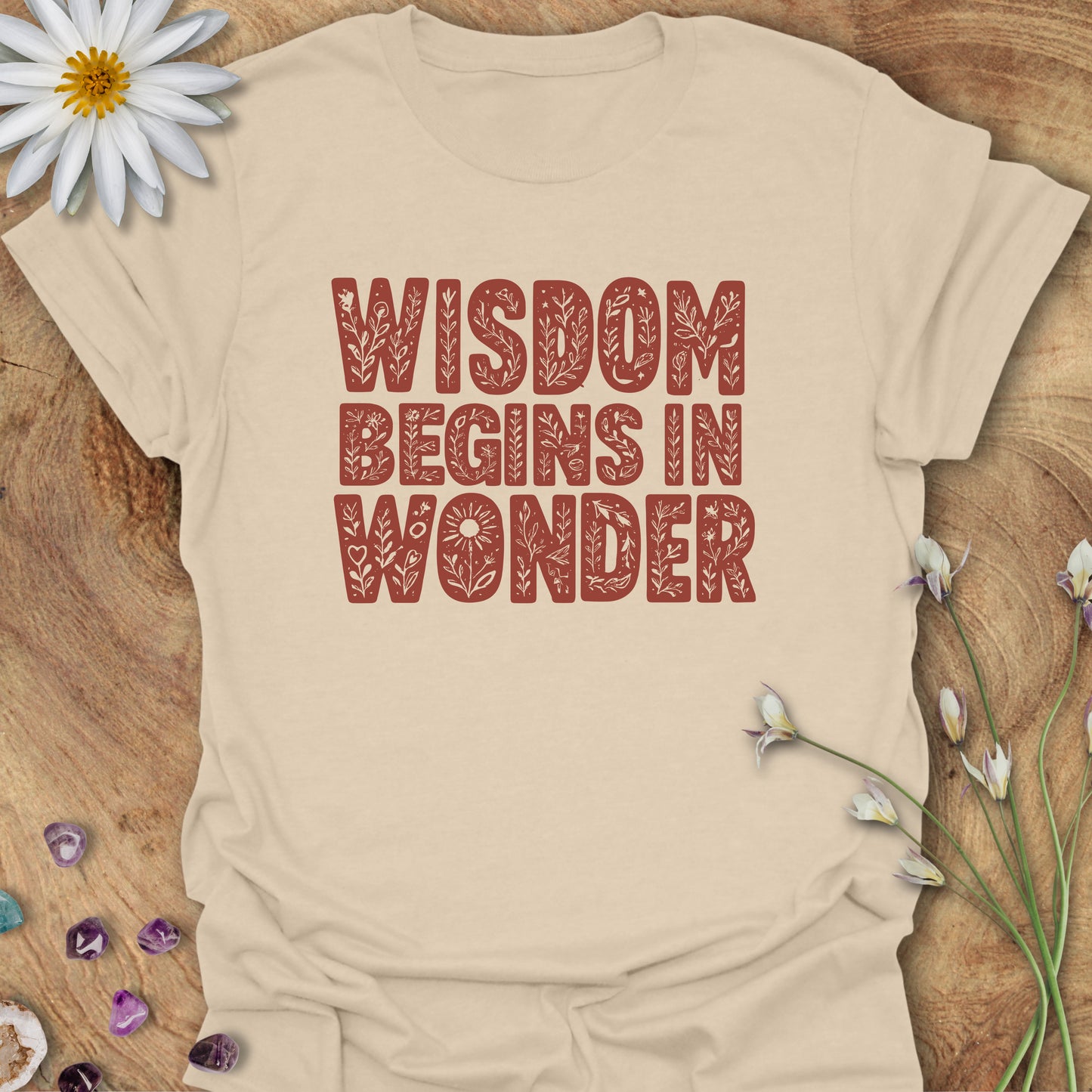 Wisdom Begins in Wonder T-Shirt
