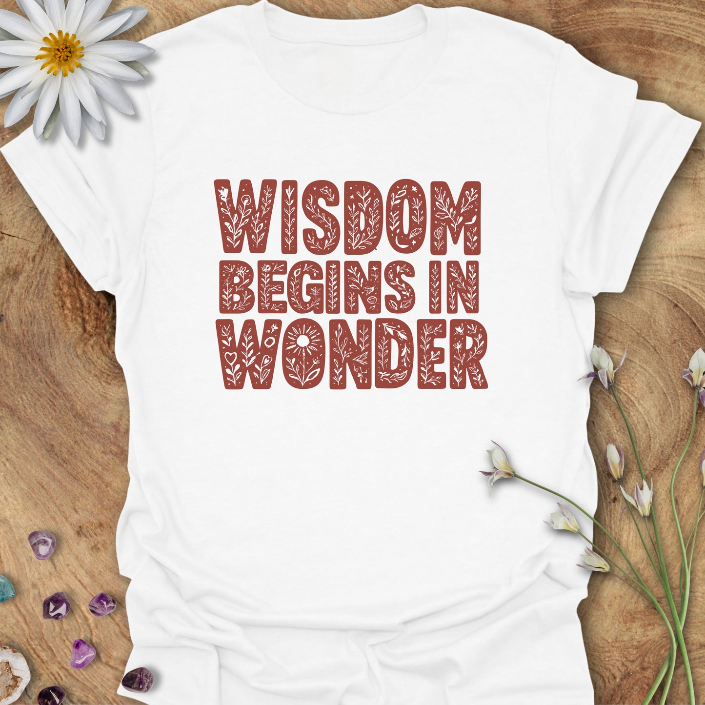 Wisdom Begins in Wonder T-Shirt