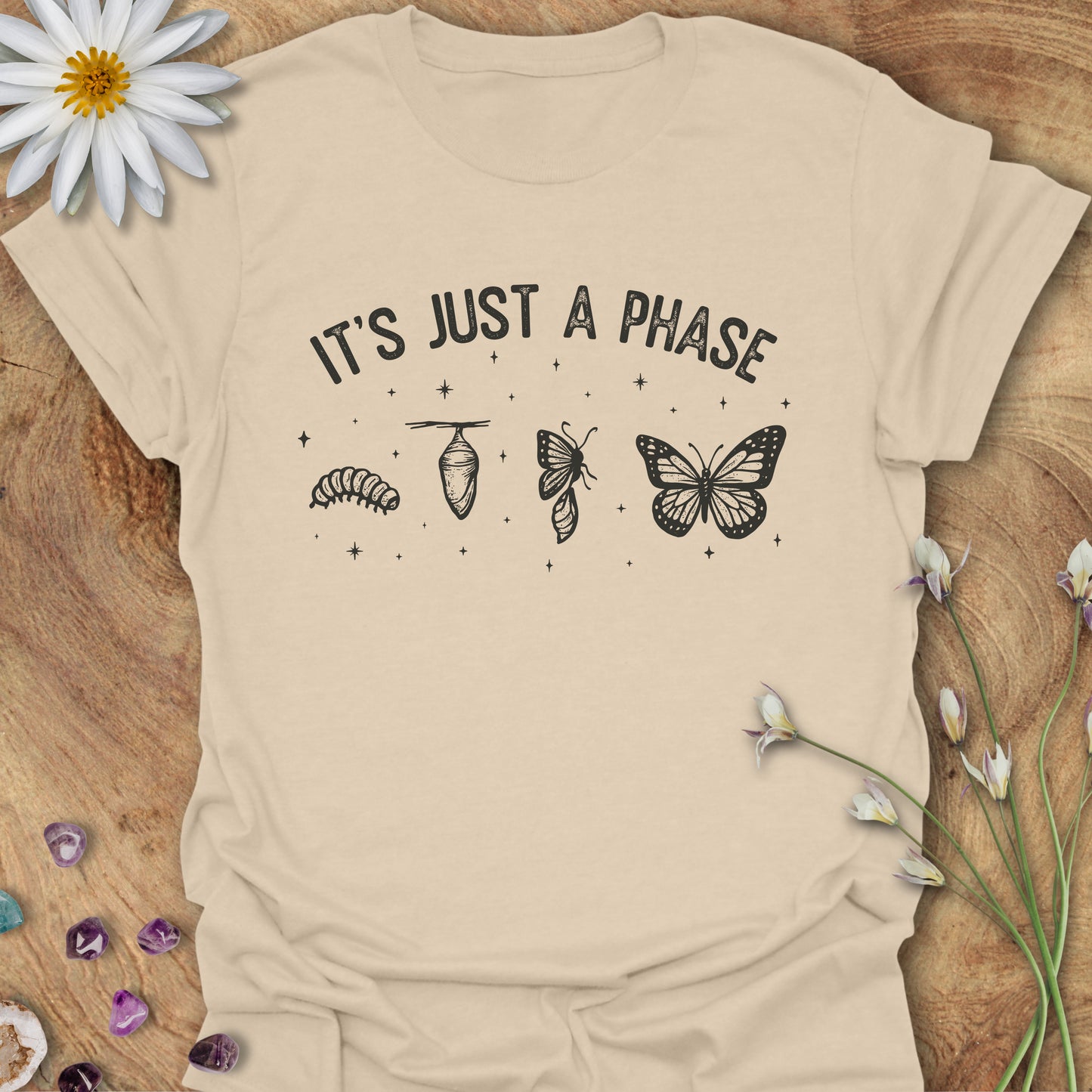 It's Just a Phase T-Shirt