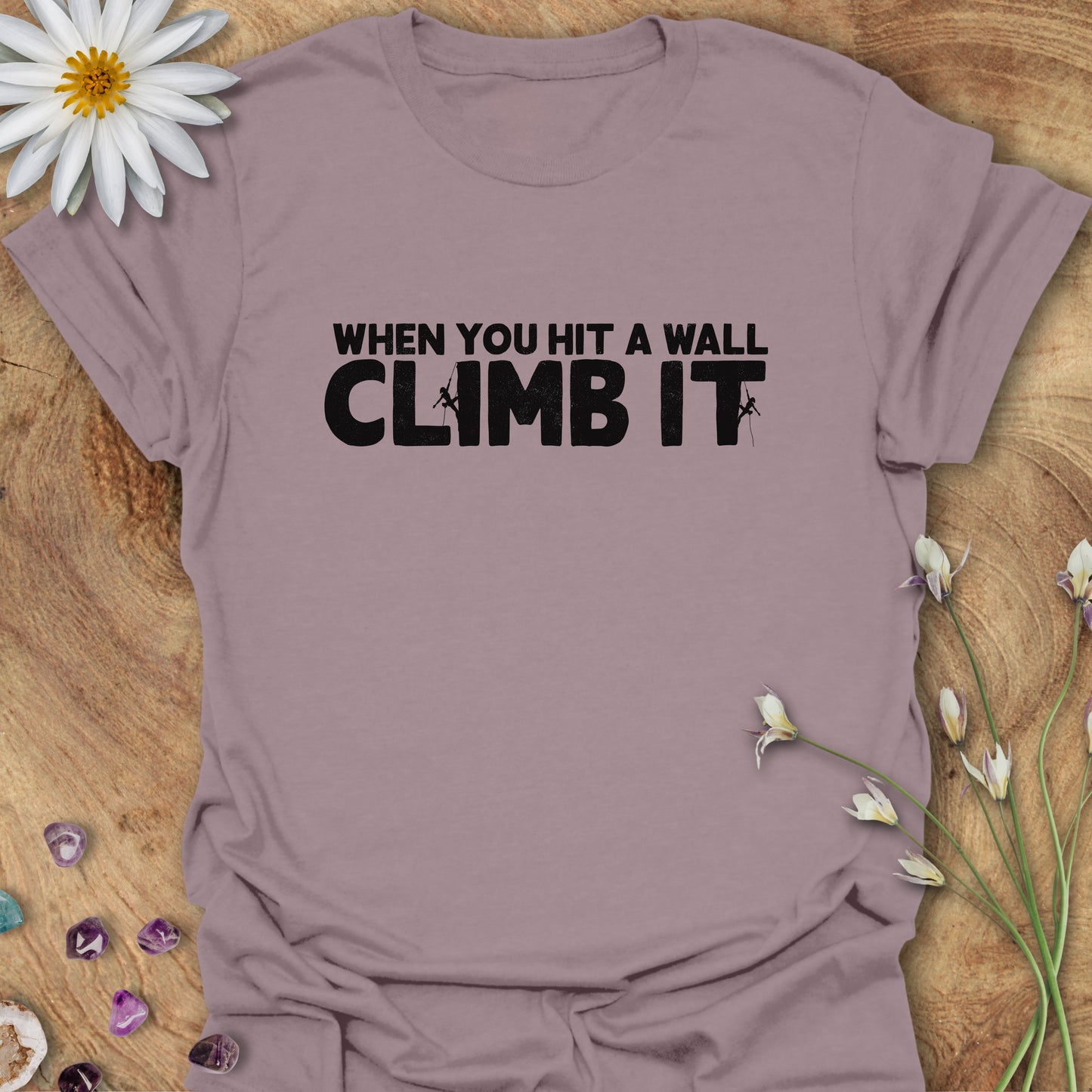 When You Hit a Wall, Climb it T-Shirt Paragon