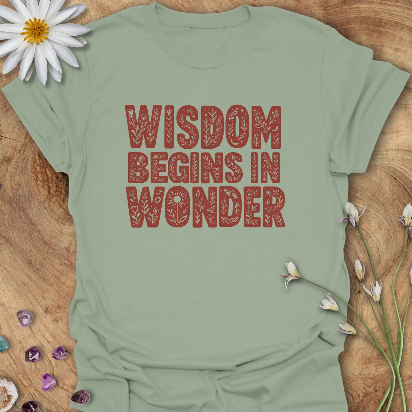 Wisdom Begins in Wonder T-Shirt
