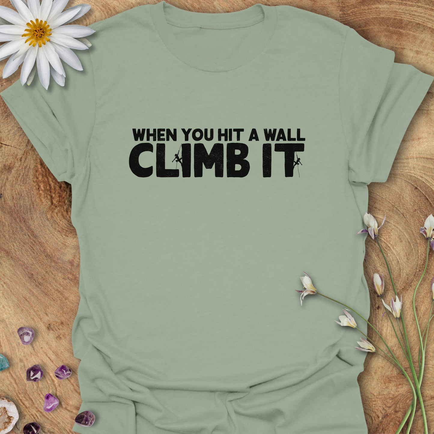 When You Hit a Wall, Climb it T-Shirt Sage
