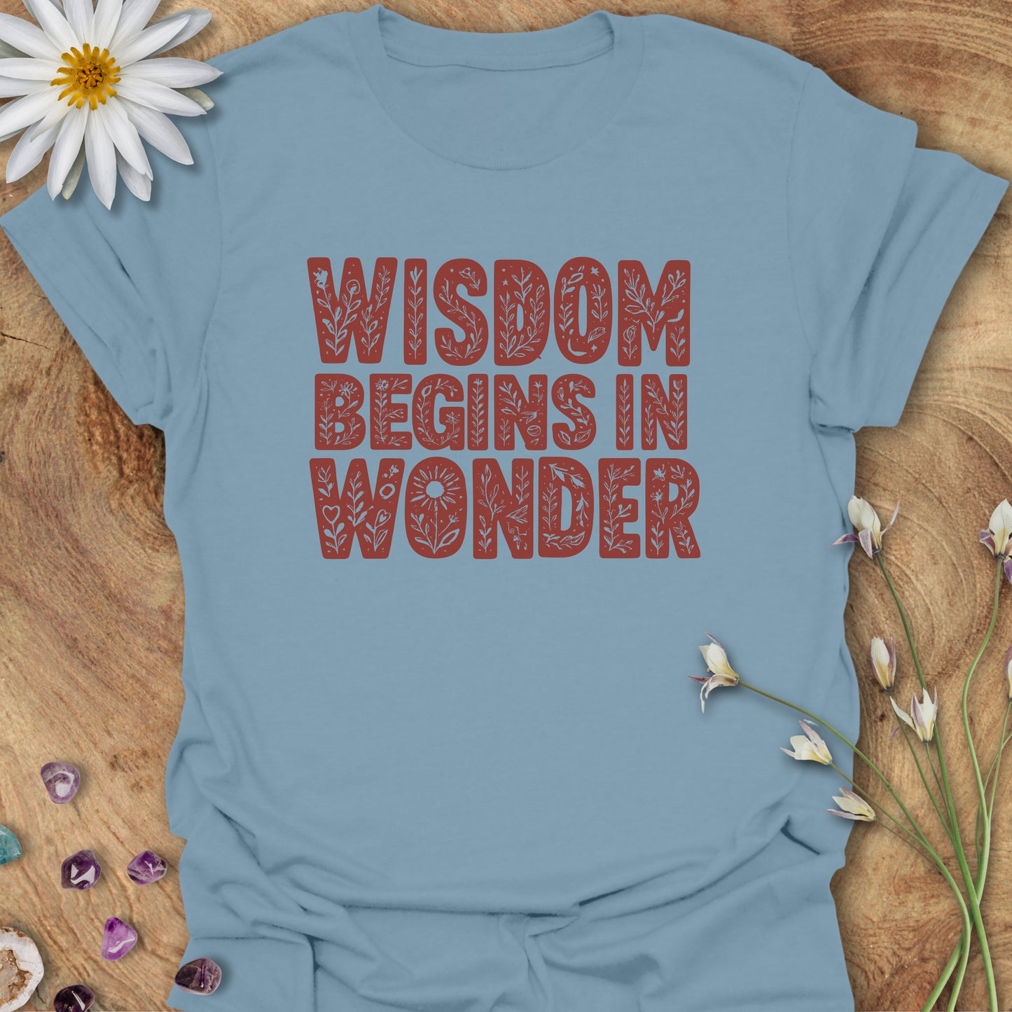 Wisdom Begins in Wonder T-Shirt