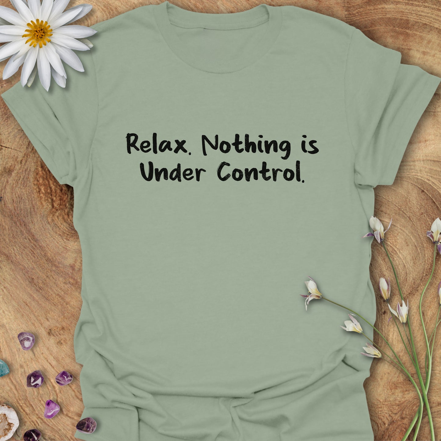 Relax. Nothing is Under Control T-Shirt Sage