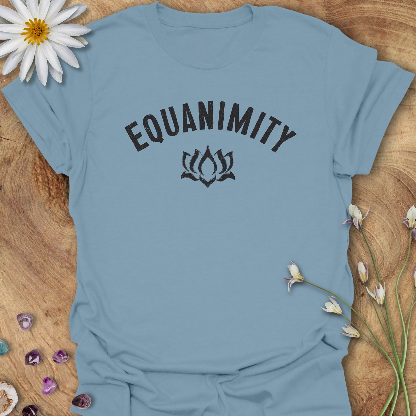 Equanimity T-Shirt