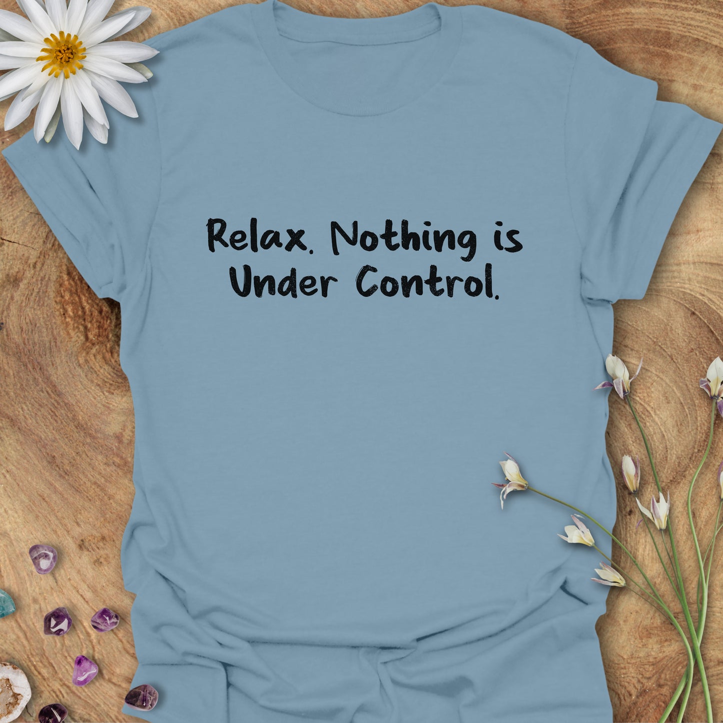 Relax. Nothing is Under Control T-Shirt Stone Blue