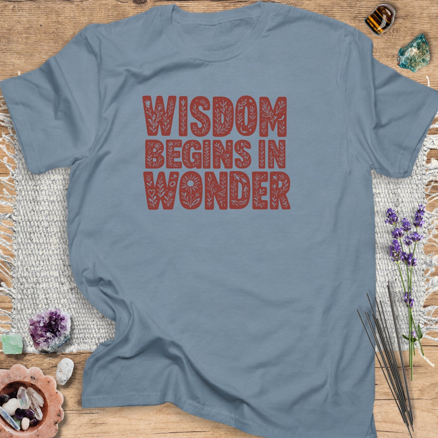 Wisdom Begins in Wonder T-Shirt