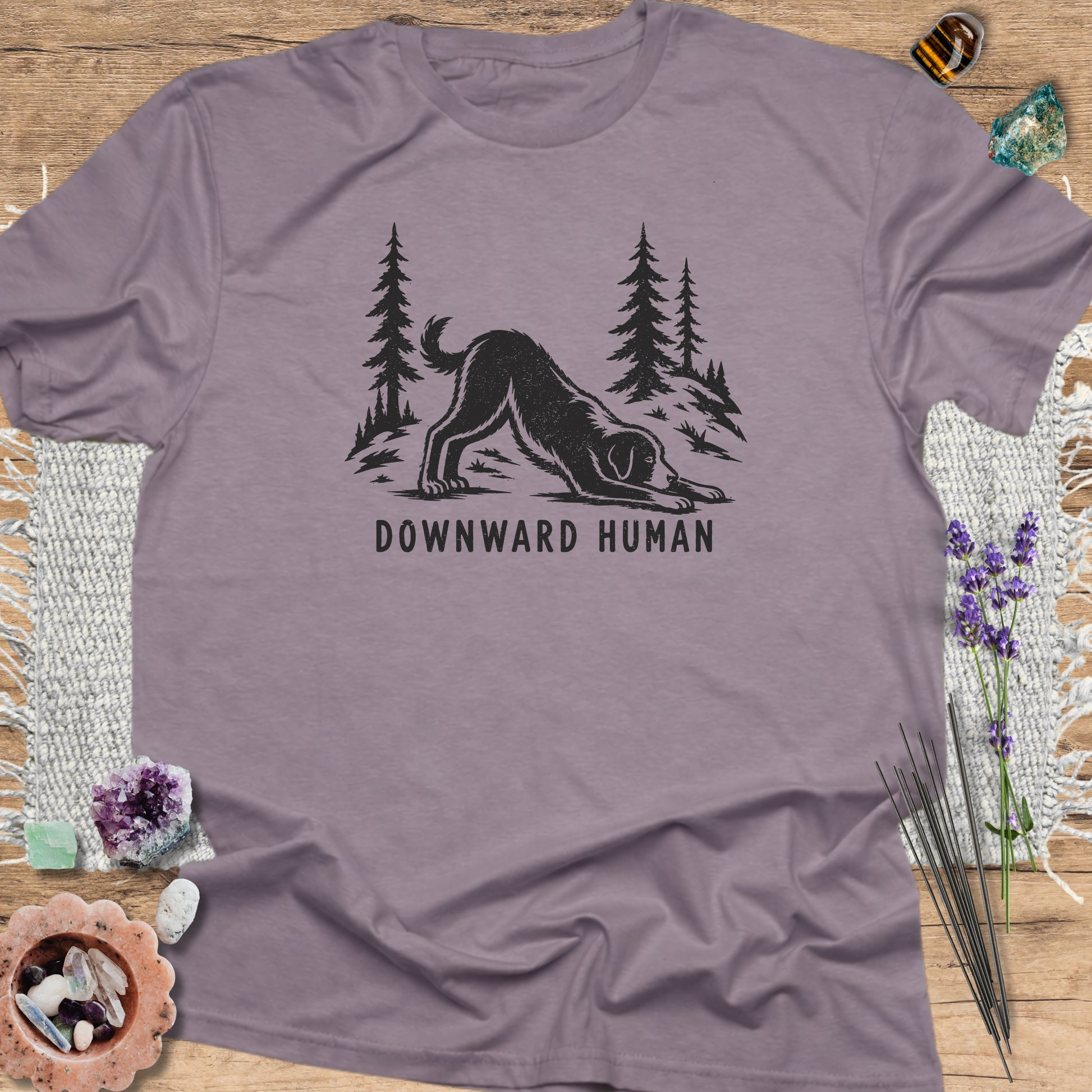 Downward Human Paragon
