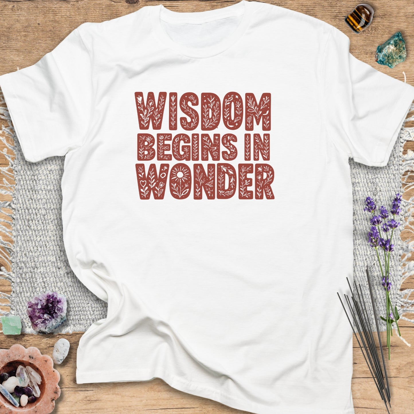 Wisdom Begins in Wonder T-Shirt
