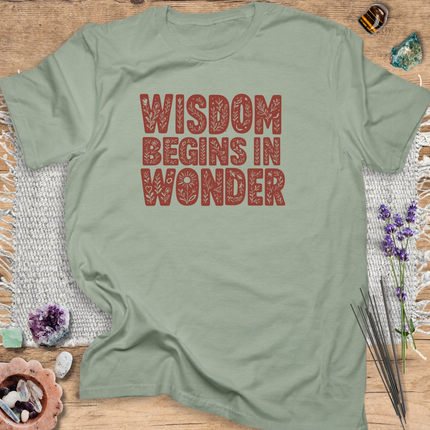 Wisdom Begins in Wonder T-Shirt