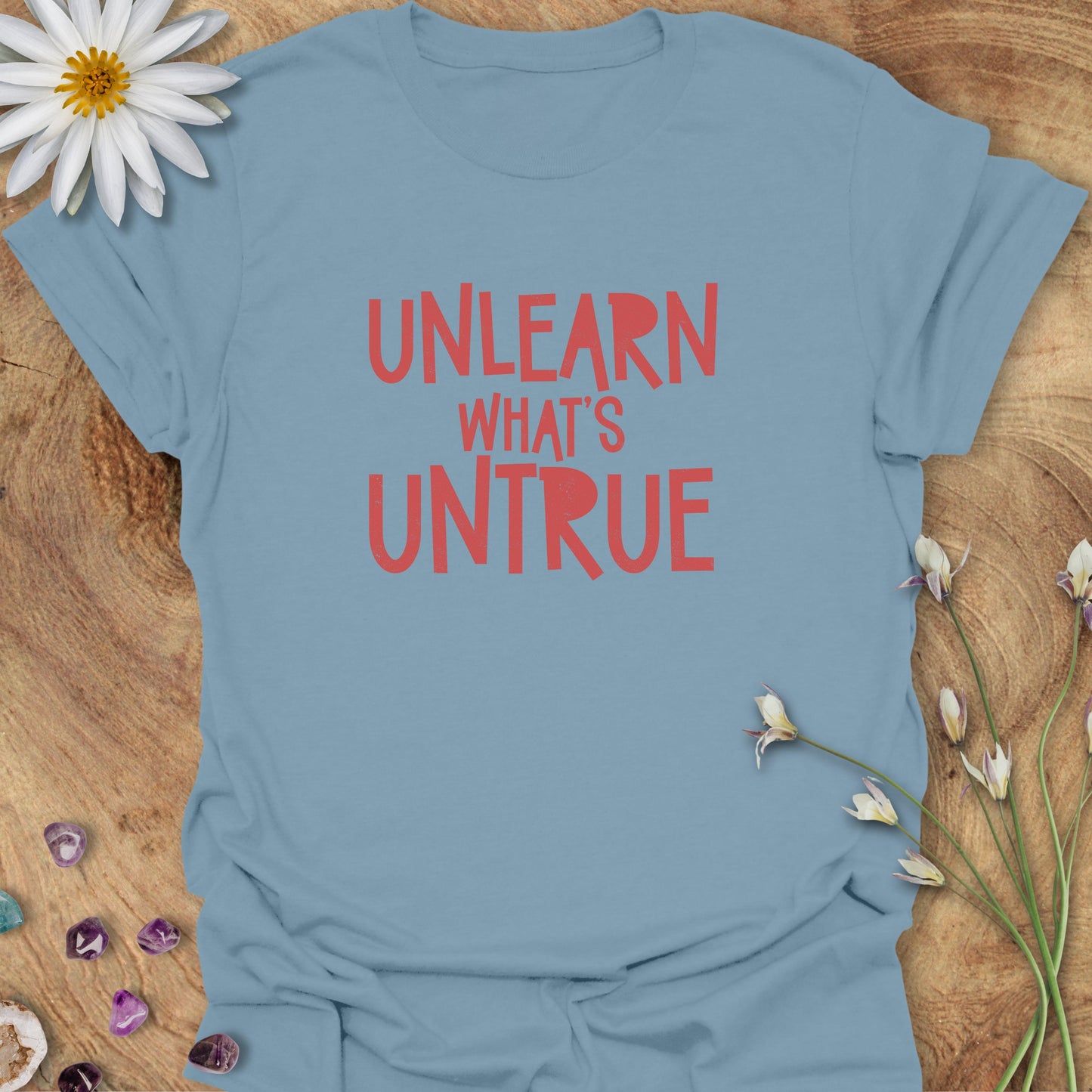 Unlearn What's Untrue T-Shirt Stone Blue
