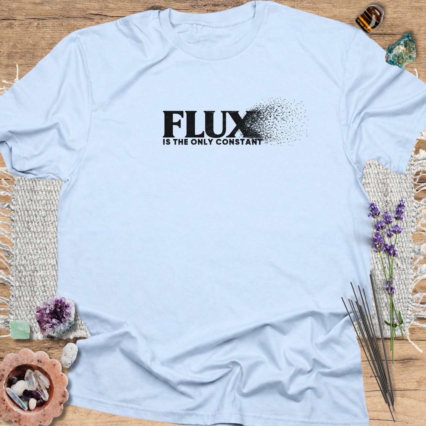 Flux Is the Only Constant T-Shirt