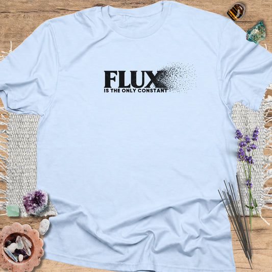 Flux Is the Only Constant T-Shirt Light Blue